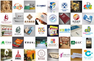 專業(yè)Logo設(shè)計(jì)與圖文制作 構(gòu)筑品牌核心，驅(qū)動(dòng)市場影響力